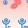 cardiovascular dilators icon