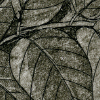 black locust icon