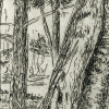 gnarled tree icon