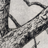 horsechestnut icon