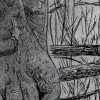 London planetree icon
