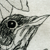 nestlings icon